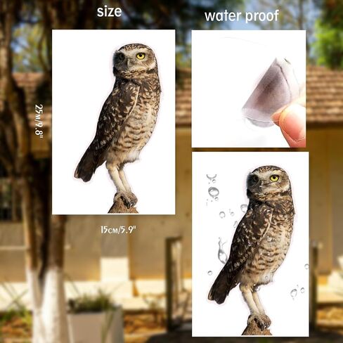 Large Realistic Owl Window Treatments, Removable Vinyl Treatments, Living Room, Bedroom, Bathroom Window Treatments in Saudi Arabia