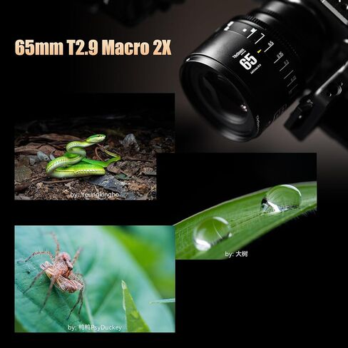 74 ملم T2.9 MACRO 2X Infinte Series دليل كامل العدسات ذات الفتحة الكبيرة ذات الفتحة الكاملة المتوافقة مع Nikon Z Mount Z9 ، Z8 ، Z7 ، Z72 ، Z6 ، Z62 ، Z63 ، ZF ، Z5 ، Z5ii Mirrorless Camera in Saudi Arabia