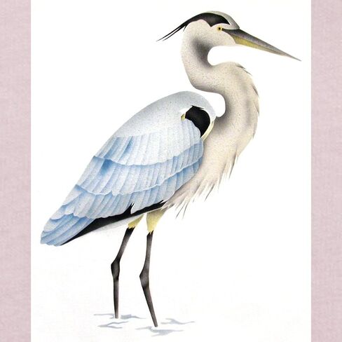 Cafepress Great Blue Heron Toddler T Shirt لطيف Toddler Graphic Tee ، قطن 100 ٪ in Saudi Arabia