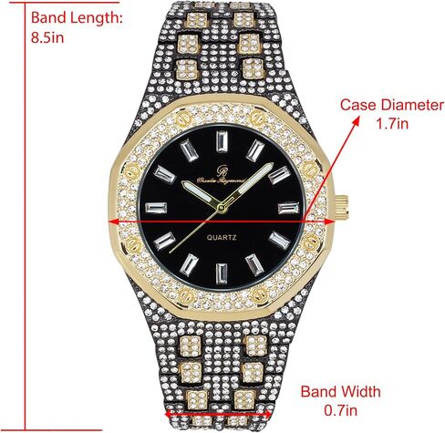 Charles Raymond Bling-ed Out Rapper's Luxury Hip Hop Mens Watch - Stand Out in Your Crew with This Bling Timepiece seen from Miles Away - 10227FAM in Saudi Arabia