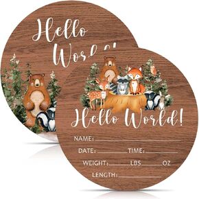 Birth Stat Sign for Newborn, Woodland Forest Animals Baby Announcement, Hello World Name Sign for Hospital Birth Announcement, Gift for New Mom, Baby Shower, Pregnancy Announcement, Photography Prop