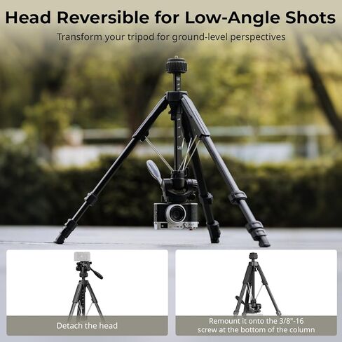 SmallRig 71 "Tripod Camera Stand AP-21 ، Travel Tripod for iPhone و Camera for Canon for Nikon مع حامل الهاتف وحمل الحمل ، ترايبود المبتدئين المحمولة مع أرجل القفل السريع ، Max Load 11 lb in Saudi Arabia