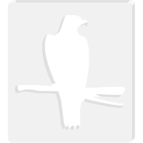 Dragonfly Acrylic Router Templates, Woodworking Router Templates, 5mm Thick Router Inlay Template, Router Jig Woodworking Craft Tracing Guide Tool in Kuwait