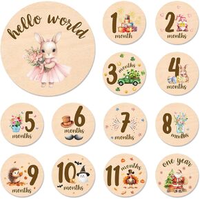 Baby Monthly Milestone Cards Sign - Double Sided Wooden Milestone Cards with Rainbow Design, Wooden Circles Discs for Photo Props Birth Announcement Board, Baby Shower/Gift Newborn Sign Set(13pcs) in Saudi Arabia
