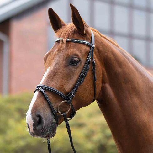 HORZE Weston Padded Leather Snaffle Bridle with Flash Noseband and Web Reins | English Bridle for Horses in Saudi Arabia
