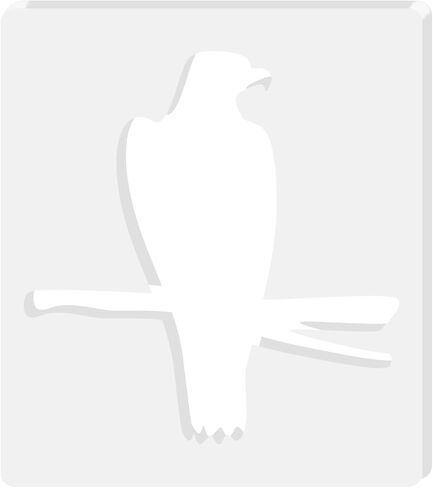 Dragonfly Acrylic Router Templates, Woodworking Router Templates, 5mm Thick Router Inlay Template, Router Jig Woodworking Craft Tracing Guide Tool in Kuwait