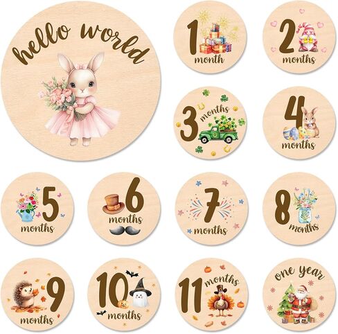 Baby Monthly Milestone Cards Sign - Double Sided Wooden Milestone Cards with Rainbow Design, Wooden Circles Discs for Photo Props Birth Announcement Board, Baby Shower/Gift Newborn Sign Set(13pcs) in Saudi Arabia