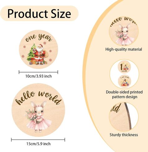 Baby Monthly Milestone Cards Sign - Double Sided Wooden Milestone Cards with Rainbow Design, Wooden Circles Discs for Photo Props Birth Announcement Board, Baby Shower/Gift Newborn Sign Set(13pcs) in Saudi Arabia