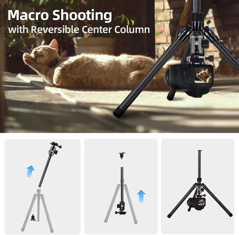 SIRUI Carbon Fiber Tripod with B-00K Panoramic Ball Head, 59.8" Compact Lightweight Travel Tripod AT-125, Quick Release Reverse Folding Legs, Reversible Center Column, Max Load 22lbs - Traveler X-I in Saudi Arabia