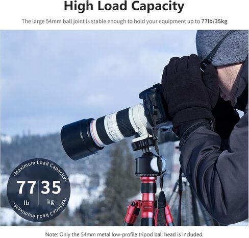 NEWER LOW PLEFT DSLR Camera Ball Head ، 54 مم جميع المعادن رأس الكاميرا الحاكمة رأس ترايبود مع لوحة سريعة 1/4 بوصة للكاميرا/كاميرا الفيديو DSLR ، ترايبود ، أحادي ، شريط التمرير ، حمولة كحد أقصى 77 رطل/35 كجم in Kuwait