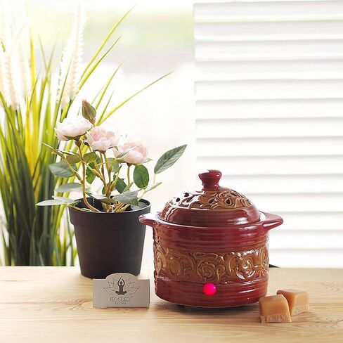 Hosley Green Electric Potpourri Warmer in Gift Box. Ideal Gift for Wedding, Special Occasions, Spa, Aromatherapy, Reiki, Meditation Settings and Home Office W9 in Saudi Arabia