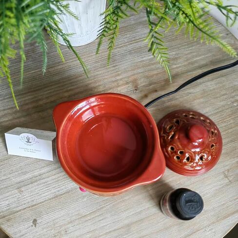 Hosley Green Electric Potpourri Warmer in Gift Box. Ideal Gift for Wedding, Special Occasions, Spa, Aromatherapy, Reiki, Meditation Settings and Home Office W9 in Saudi Arabia