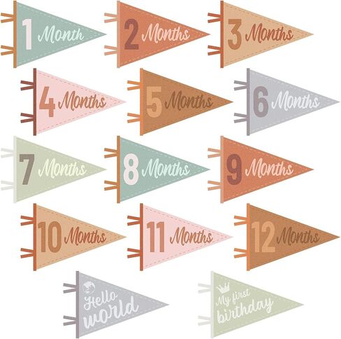 14pcs علامات رعاة معلمة الطفل شعرت بالرضيع الشهري لافتات المعلم الشهري المثلثات المثلثات المثلث علامات العلم علامات التصوير المولود الجديد لصالح طفل طفل طفل عيد ميلاد حديث الولادة. in Saudi Arabia