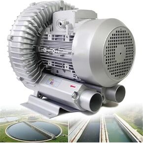 منفاخ دوامة عالي الضغط لتهوية الصرف الصحي وأكسجين الحوض ، 370W/0.50HP من منفاخ القناة الجانبية الطور أحادية البركة للبركة ومعالجة الماء in Kuwait