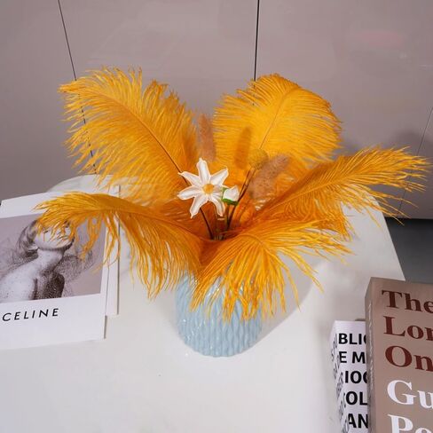 Shekyeon Purple 10-12inch 25-30cm Ostrich Feather Home Decoration DIY Craft Pack of 10 in Kuwait