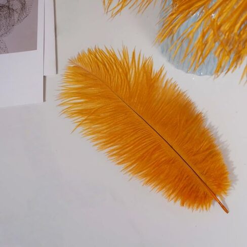 Shekyeon Purple 10-12inch 25-30cm Ostrich Feather Home Decoration DIY Craft Pack of 10 in Kuwait