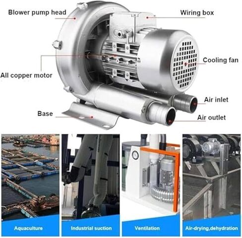 منفاخ دوامة عالي الضغط لتهوية الصرف الصحي وأكسجين الحوض ، 370W/0.50HP من منفاخ القناة الجانبية الطور أحادية البركة للبركة ومعالجة الماء in Kuwait