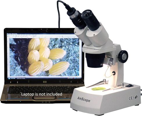 AMSCOPE SE305R-AZ-E2 المجهر المجهر الرقمي المثبت على الأمام ، و WF10X و WF20X العدسة ، وتكبير 10x/20x/30x/60x ، و 1x و 3x أهداف ، ومصدر مصباح الهالوجين العلوي والسفلي ، وموقف الذراع ، 120 فولت ، 2MP ، 2MP كاميرا وبرمجيات in Saudi Arabia