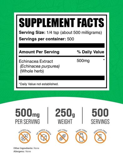 BulkSupplements.com Echinacea Extract Powder - Echinacea Supplement, Herbal Supplement for Immune Support - Vegan & Gluten Free, 500mg per Serving, 500g (1.1 lbs) (Pack of 1) in Kuwait
