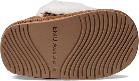 تودل مينتارو (رضيع) in Kuwait