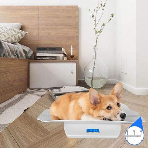 مقياس الطفل، مقياس الحيوانات الأليفة، مقياس الأطفال الصغار متعدد الوظائف، مقياس رقمي للأطفال، إضاءة خلفية زرقاء، مسار الوزن والطول. in Kuwait