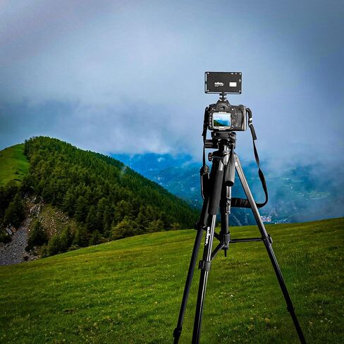 Audience Professional Mobile Tripod Kit, 6FT Collapsible Stand, LED Fill Light, Phone Mount, Dual Lavalier Microphones, Bluetooth Remote & Travel Case for YouTube/TikTok/Live Streaming/Vlogging in Saudi Arabia