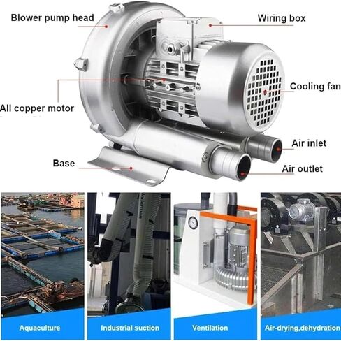 التوربينات الدائرية الغازية للمروحة الواحدة للطرد المركزي ، 220 فولت 50 هرتز المنفاخ التجديدي ، وسرعة المحرك 2980 Rev/Min ، لأواني السمك ، وحوض السمك ، ومزارع الأسماك (550W/0.74ps) in Kuwait