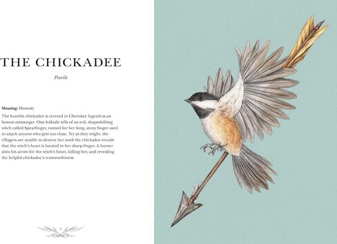 Ornithography: An Illustrated Guide to Bird Lore & Symbolism (Volume 2) (Hidden Languages) in Saudi Arabia