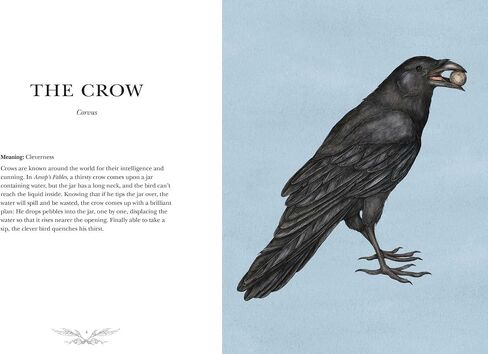 Ornithography: An Illustrated Guide to Bird Lore & Symbolism (Volume 2) (Hidden Languages) in Saudi Arabia