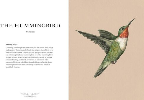 Ornithography: An Illustrated Guide to Bird Lore & Symbolism (Volume 2) (Hidden Languages) in Saudi Arabia