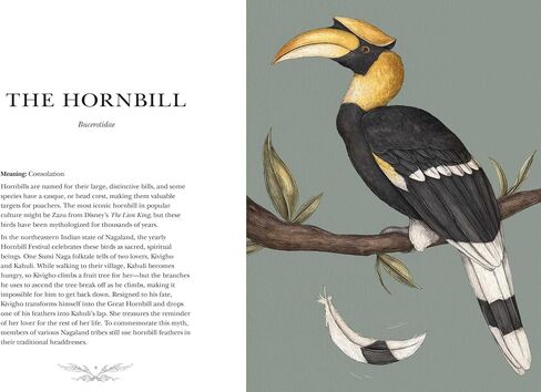 Ornithography: An Illustrated Guide to Bird Lore & Symbolism (Volume 2) (Hidden Languages) in Saudi Arabia