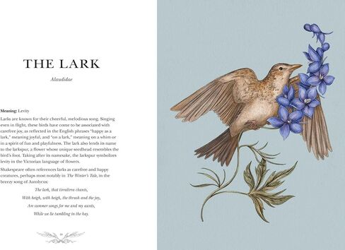 Ornithography: An Illustrated Guide to Bird Lore & Symbolism (Volume 2) (Hidden Languages) in Saudi Arabia