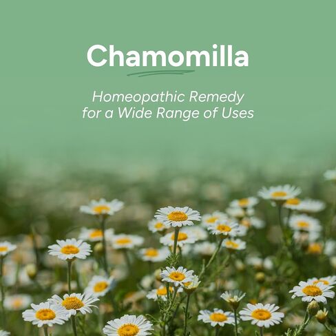 OLLOIS Chamomilla 30c Organic, Lactose-Free Homeopathic Medicine, 80 Pellets (Pack of 1) in Saudi Arabia