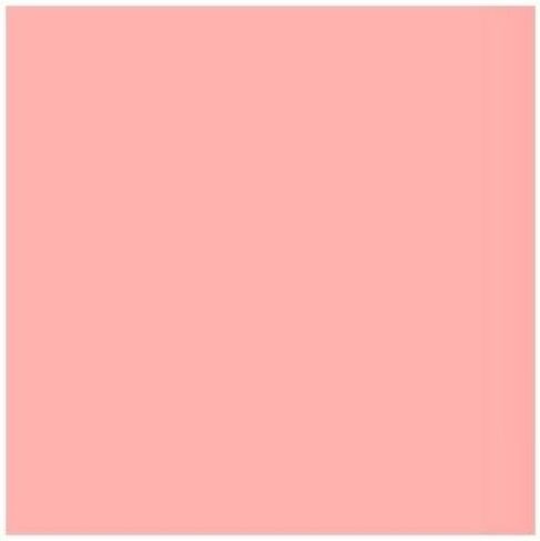 Lee Filters Light Salmon 24x21 ورقة تصفية الجل in Saudi Arabia