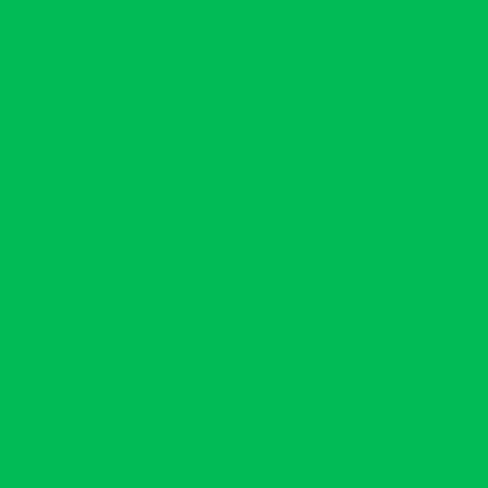 LEE FILTERS 124 SHEET DARK GREEN SHEET Gel-Sheets in Saudi Arabia