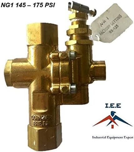 IEE NG1 1/2 "x 1/2" NPT Gas Air Compressor empressor check combo 145 - 175 in Saudi Arabia