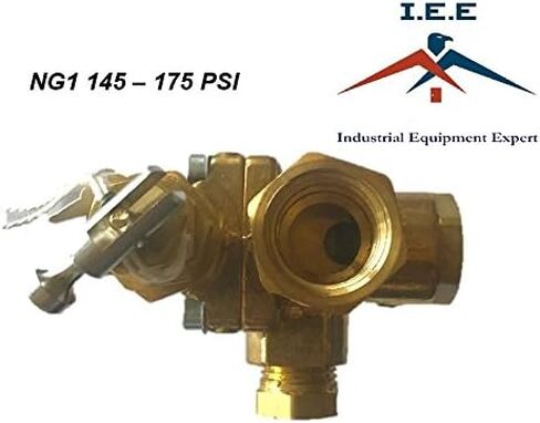 IEE NG1 1/2 "x 1/2" NPT Gas Air Compressor empressor check combo 145 - 175 in Saudi Arabia
