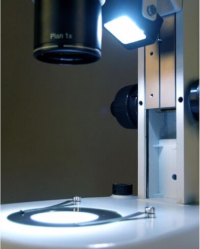 AmScope PM240T Trinocular Common Main Objective Stereo Zoom Microscope, WH10x Eyepieces, 8X-80X Magnification, 0.8X-8X Zoom Objective, Pillar Stand, 100V-240V in Saudi Arabia