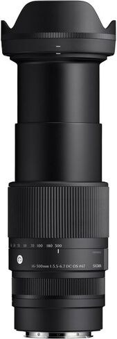 Sigma 16-300mm f/3.5-6.7 DC OS المعاصر Sony (887965) حزمة. in Saudi Arabia