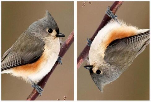 التلسكوب العملي تلسكوب فلكي كبير الفضاء من الفضاء الليلي in Kuwait