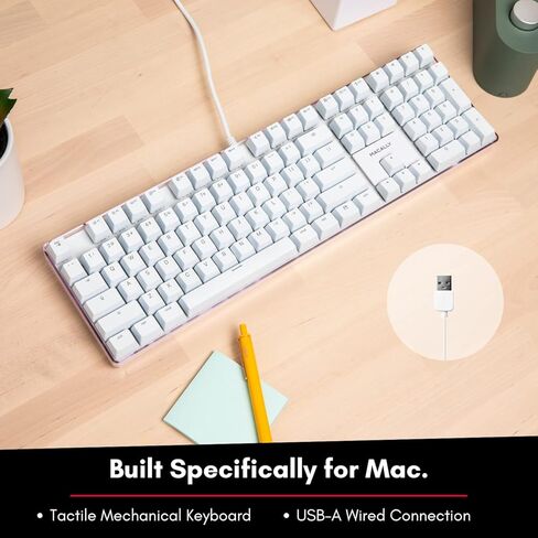 لوحة مفاتيح ميكانيكية بإضاءة خلفية من Macally لجهاز Mac - جودة يمكنك الشعور بها - لوحة مفاتيح ميكانيكية كلاسيكية من Mac مع مفاتيح بنية لكتابة مريحة - 104 مفتاح لوحة مفاتيح Apple سلكية USB مع قاعدة مرجحة in Kuwait