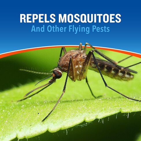 شموع للتخييم، عبوة من 1، فضي in Kuwait