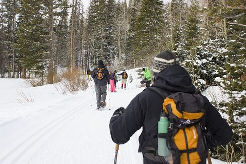 TETON Sports Hiker 3700 Ultralight Internal Frame High-Performance Backpack for Hiking, Camping, Travel, and Outdoor Activities; 60L, Navy in Kuwait