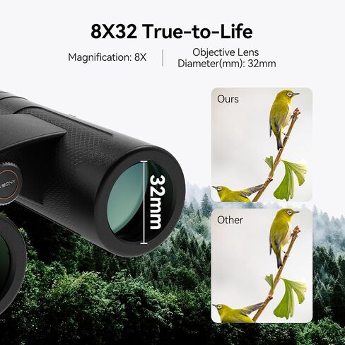 SVBONY Upgraded SV202 10x42 ED Binocular, Binoculars with Extra-Low Dispersion Objective Lenses for Birdwatching, BAK4 & FMC Optic System, 8°+Wide View Angle, IPX7 Waterproof for All-Weather Use in Saudi Arabia