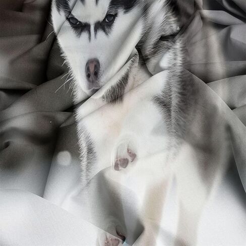 100 ٪ Microfiber Kids Bedding Light Blue Cover Toddler ، وقشرات النجوم الشراعية ، والمنارة ، مجموعة الفراش للمراهقين للبالغين ، غطاء لحاف قابل للانعكاس in Kuwait