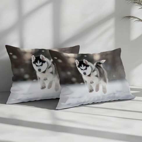 100 ٪ Microfiber Kids Bedding Light Blue Cover Toddler ، وقشرات النجوم الشراعية ، والمنارة ، مجموعة الفراش للمراهقين للبالغين ، غطاء لحاف قابل للانعكاس in Kuwait