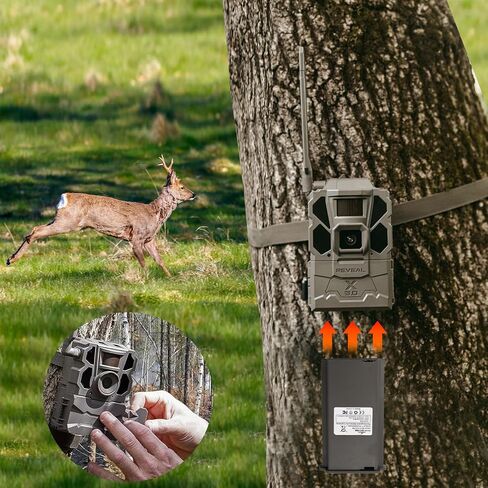2 Pack New Reveal Lithium Battery Pack with Reveal Hunting Camera X, X Pro, XB, X Gen 2.0, X Gen 3.0, SK, Pro 3.0 (Pack of 2, 6000mAh) in Saudi Arabia