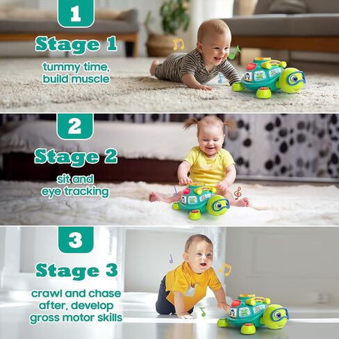 لعبة Turtle Turtle Baby Toys الموسيقية من 6 إلى 12 شهرًا ، لعبة تنموية لوقت البطن لمدة 3-6 4 5 7 8 9 10 أشهر ، هدية بوي بويز هدية ، لعبة التعلم ثنائي اللغة من 12 إلى 18 شهرًا مع الأضواء in Kuwait