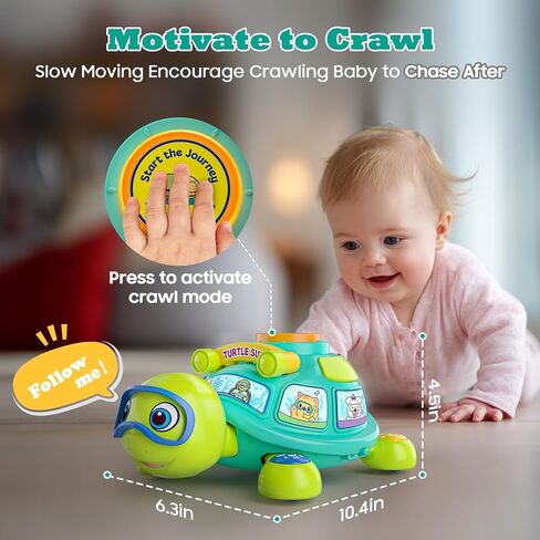 لعبة Turtle Turtle Baby Toys الموسيقية من 6 إلى 12 شهرًا ، لعبة تنموية لوقت البطن لمدة 3-6 4 5 7 8 9 10 أشهر ، هدية بوي بويز هدية ، لعبة التعلم ثنائي اللغة من 12 إلى 18 شهرًا مع الأضواء in Kuwait