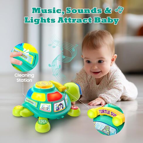 لعبة Turtle Turtle Baby Toys الموسيقية من 6 إلى 12 شهرًا ، لعبة تنموية لوقت البطن لمدة 3-6 4 5 7 8 9 10 أشهر ، هدية بوي بويز هدية ، لعبة التعلم ثنائي اللغة من 12 إلى 18 شهرًا مع الأضواء in Kuwait
